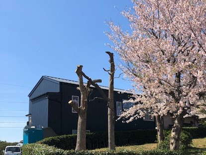 【　愛知県みたいな形の家　】完成見学会　ありがとうございました アイキャッチ画像